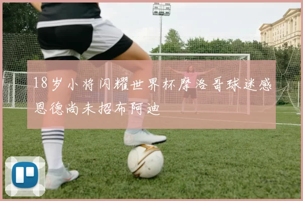 18岁小将闪耀世界杯摩洛哥球迷感恩德尚未招布阿迪